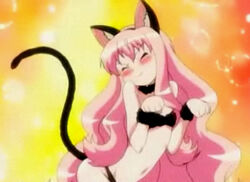 Louise {Zero No Tsukaima}, {Vintage~golden} Picture #123480451