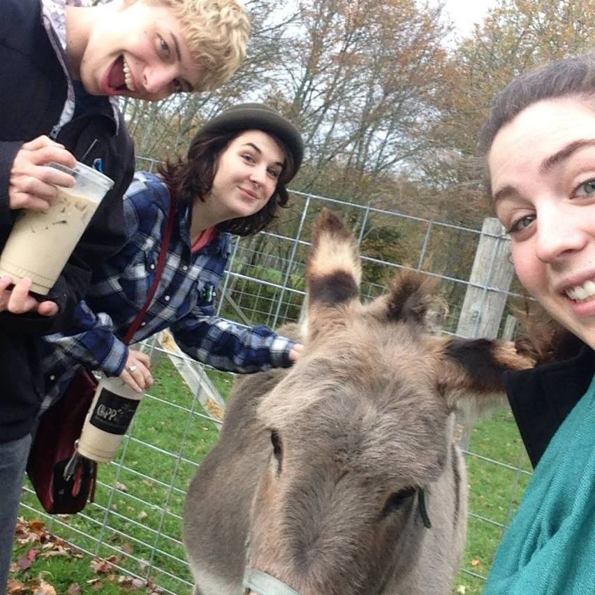 Joe Zeta Lambda Chi Wiki Fandom