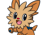 Lillipup (Pokémon)