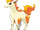 Ponyta (Pokémon)