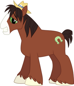 Pony shoes wiki discount