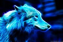 572723 jestingstock-com-neon-blue-wolf-wallpapers 1024x678 h.jpg