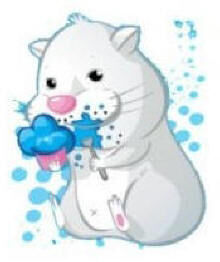 Chunk zhu hotsell zhu pet