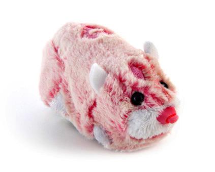 Zhu Zhu Pet Cat