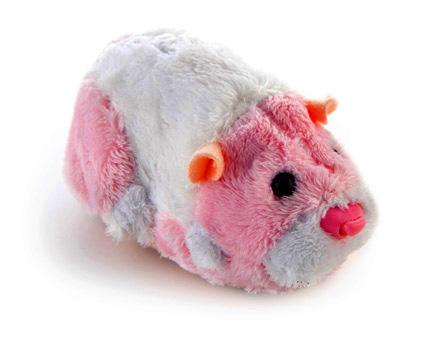 Pink zhu sales zhu pet