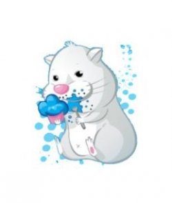 Chunk zhu zhu pet discount