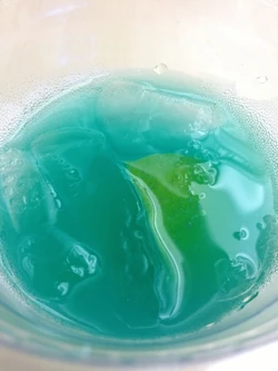 龙舌兰