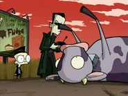 Freaky rolling cow...