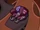 Zim's Nanoship