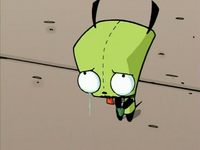 GIR after a scolding