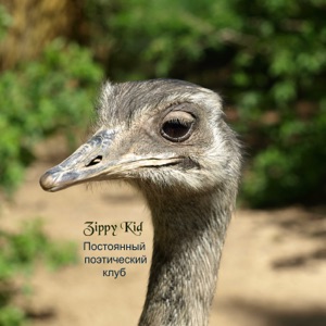 Постоянный поэтический клуб | ZippyKid Wiki | Fandom