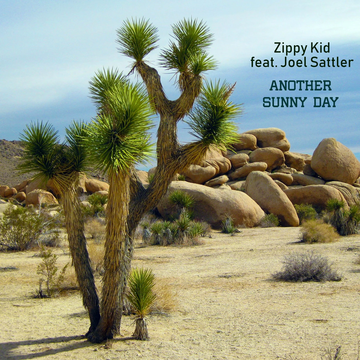 Another Sunny Day (feat. Joel Sattler) ZippyKid Wiki Fandom