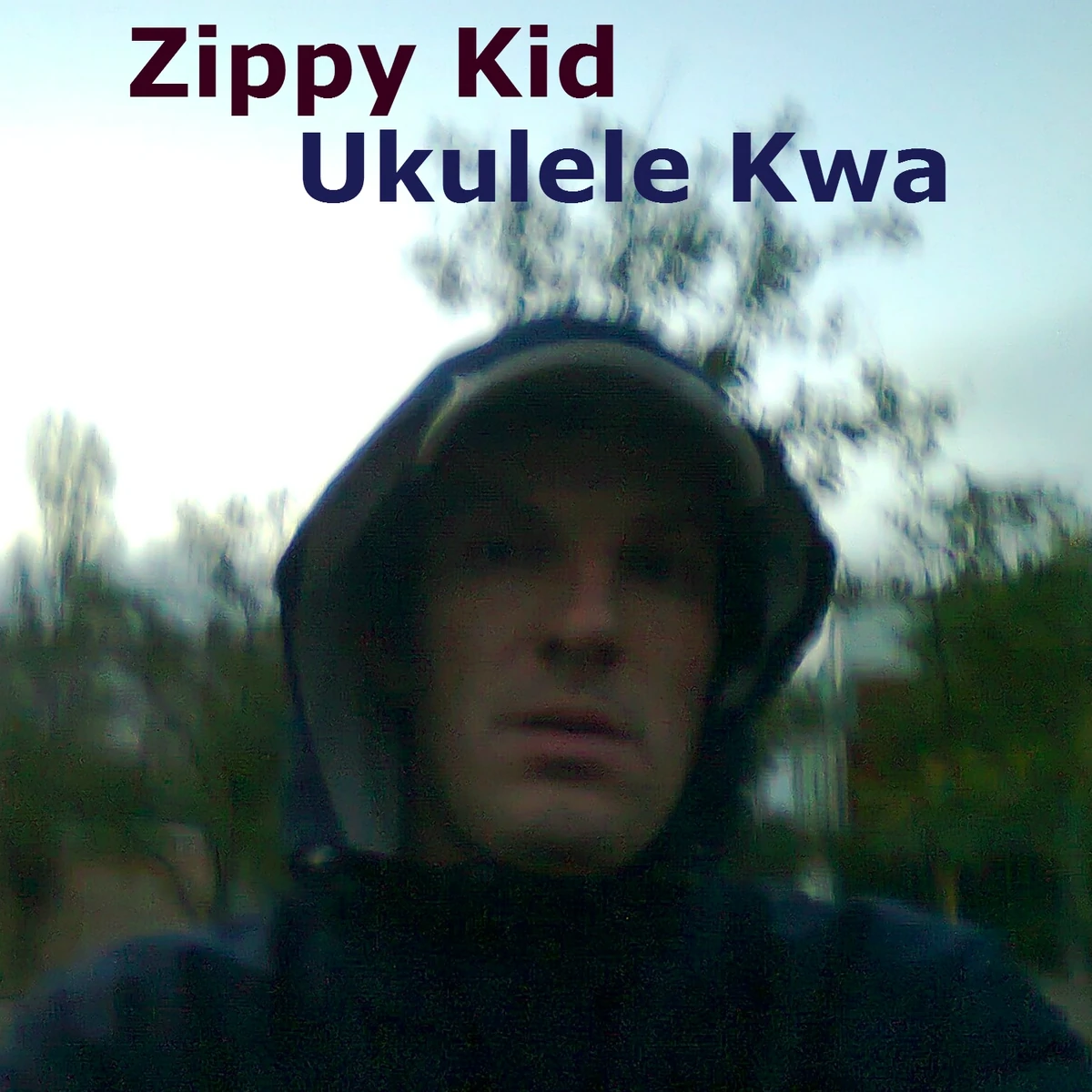 Ukulele Kwa ZippyKid Wiki Fandom