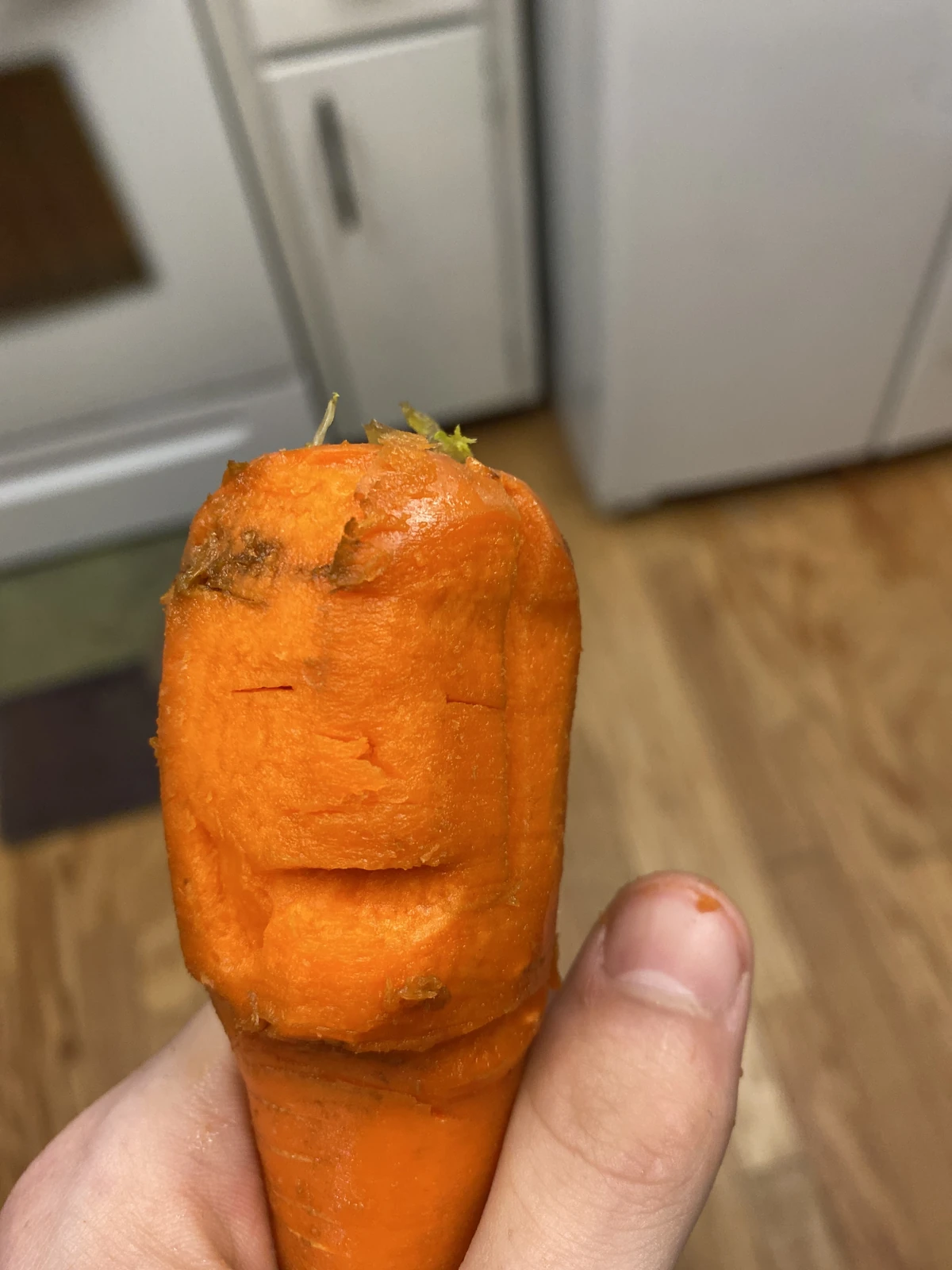 Gigachad carrot ZLand Wiki Fandom