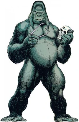 Grodd