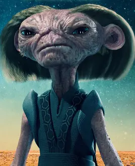 Супервайзер