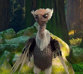 Дон Стервятник