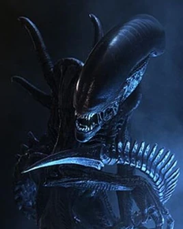 Xenomorph