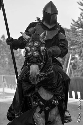 Черный рыцарь