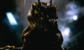 Истинная форма