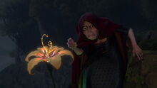 Tangled-disneyscreencaps 1