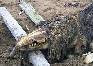 Фото SCP-682 на официальном сайте Фонда