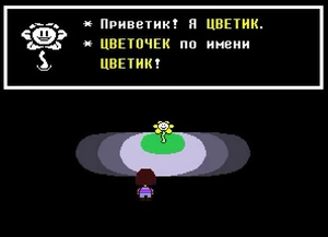 Первая встреча с Флауи