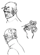 Concept Art of Lloyd