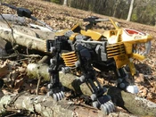 HMM Shield Liger RAMAR