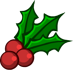 Xmas Berries