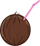 Casual Coconut
