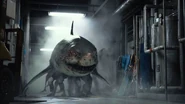 Zombified Shark in Live Action Film