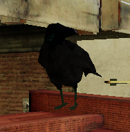 Crow | Zombie Survival GMod Roblox Wiki | Fandom