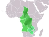 60,000 B.C., Katanda, Central Africa