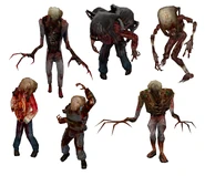 All the types of Headcrab zombies, from left to right Headcrab zombie (Half Life 1), Poison zombie, Fast zombie, Headcrab zombie in (Half Life 2), Zombine and Gonome