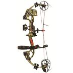 Modern Compound Bow