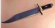 Bowie Knife