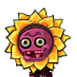 Flower Zombie