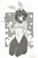 Special illustration included in the first artbook