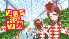 Saga Honoka