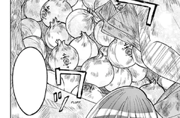 Eikichi protects the onions by putting a blanket on them