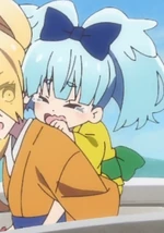 Lily ancestor