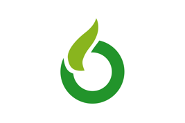 Flag of Ureshino Saga