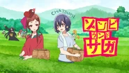 Tea Picking