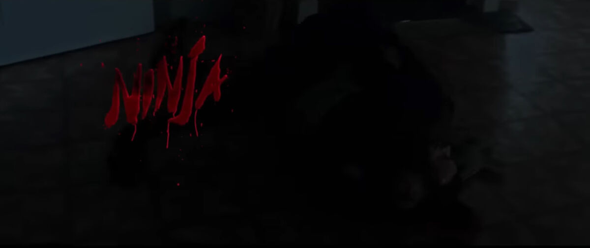 Ninja Zombieland Wiki Fandom