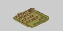 Orchard.jpeg