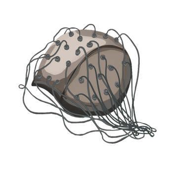S01E20 Quan Biotech neural enhancer-0