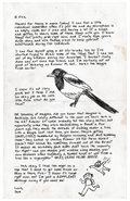 The Home Front Mission 4: Magpie