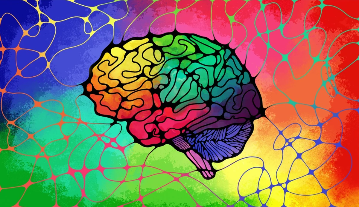 The Brain (New Adventure) Zombies, Run! Wiki Fandom