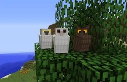 How to Tame an Owl Exotic Birds Mod: Ultimate Guide & Tips